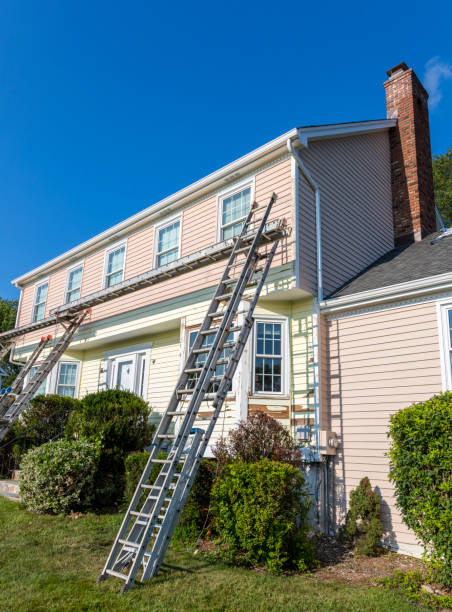 Best Stone Veneer Siding  in Independence, MN